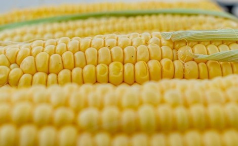 ��� ������� �������� � �������������, ����� ������� ������ �� ����: ������� �� �������