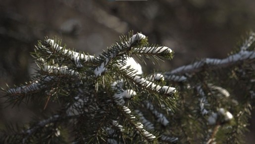 1234. ����� ������ ����� � ������� � ����������