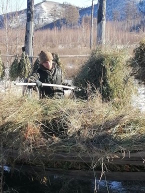 ����� ���������� ���������� ������������� ����� ��������