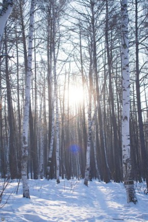 ������ ����, �����������!. ����� ������ ���� ������� ����� ����� � ����������, � ��� ����� �������� ����� ����� ������������ ���� �� ��-������ �������� ������� @zabrtk | �� � MAX