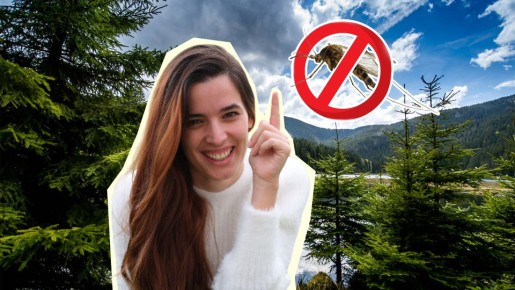 ��������� ����� ����� �� �������: ����� ���������� �� ���� ��� ������������ ��������