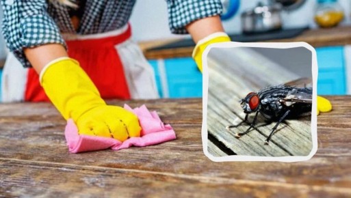 ����������� � ���������� ������� ���������� �� ��� � ����� ����