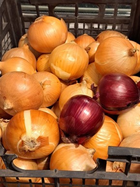 ������ ��� ��� �������� ���������� ������ � ���������