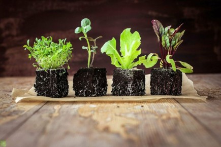 ������, ������� ����� �������� ��� ����� �� ��������