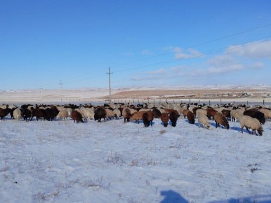 ����������������� ��������� �� ��������� ������ �������� ��������� ���� ��������� ����������� �������