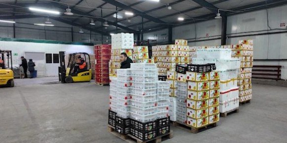 ���������� ����������������� ����������������� ���� 583 ���� ������� ������ ����� �� �����