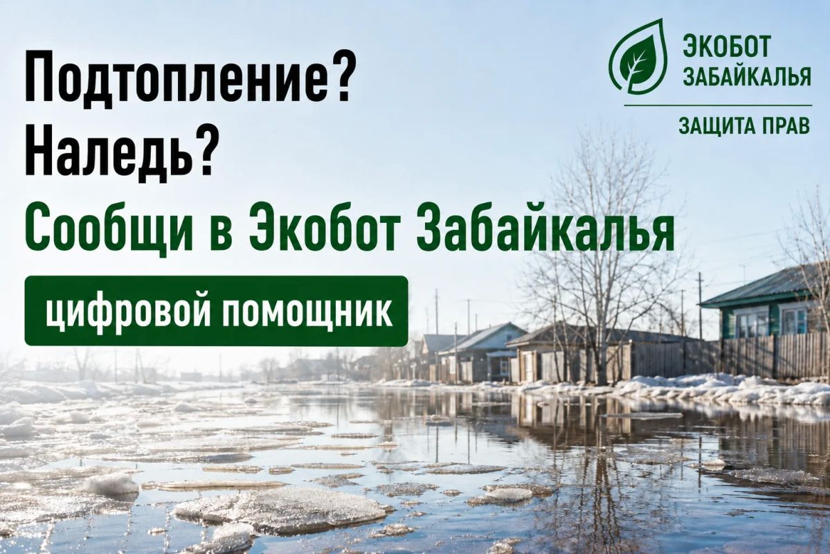 #ЭкоДело. Экобот Забайкалья — сообщить об экологической проблеме просто! Перейди в чат-бот: