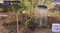 ��������� ������: ������� �� ���� ������ ����������� ������ �������� �� ������� ���� ����������� ���������������� ������