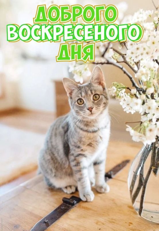 Доброе утро, Чита и читинцы!