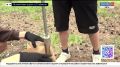 В Забайкальском крае подходит к концу профильная смена «Горная школа»