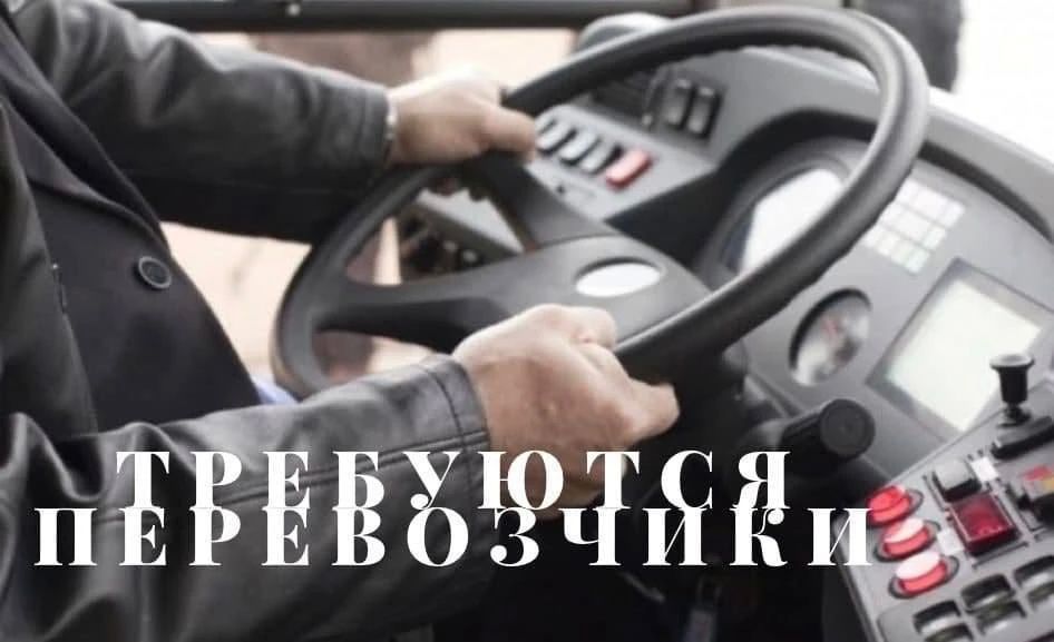 Информация для перевозчиков