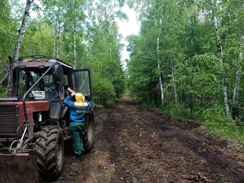 В Забайкалье продолжается расчистка минерализованных полос