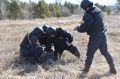 Более 630 тысяч рублей штрафов выписали поджигателям в Забайкалье в этом году