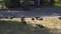�� �������������� � ��������������� ���������� ������������� ������� ������� 160 ��������� ������ �� ������������ ������� � 2027 ����