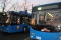 Остановку «Евгения Гаюсана» в Чите временно закрыли