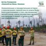 Лес и огонь: книги, которые учат беречь природу