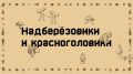 Сезон тихой охоты на Ямале