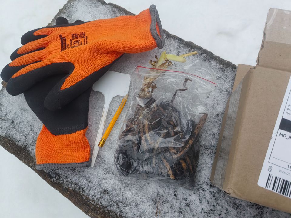 ��� ��������� ������������ �� �����: ������ �� ������ �������