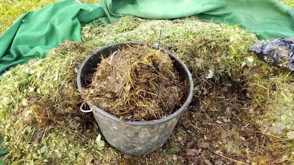 Горячая мульча: секреты успешного дачного урожая