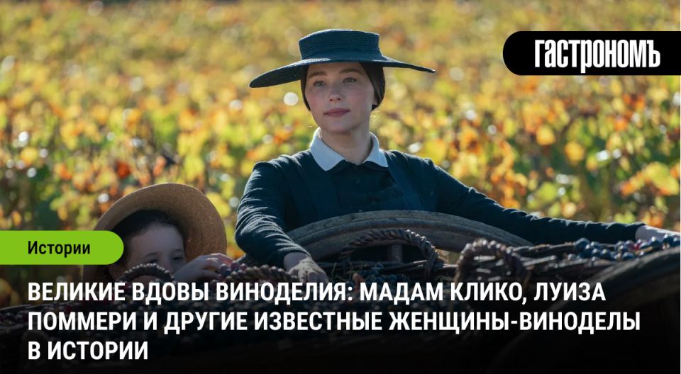 Виноделие вне времени: великие женщины-шампанье, которые изменили мир