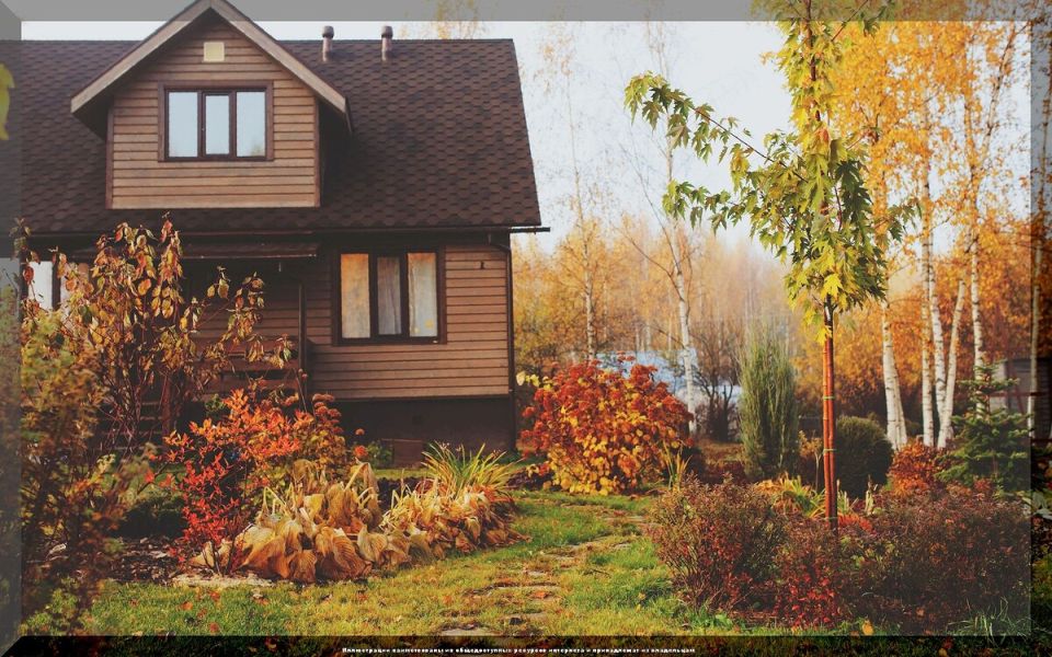 Подготовьте свой участок к зиме: основные задачи для дачников в октябре