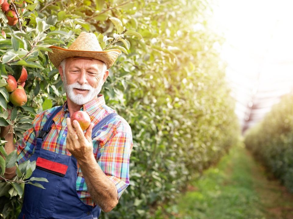 Современные продукты: химия или природа?