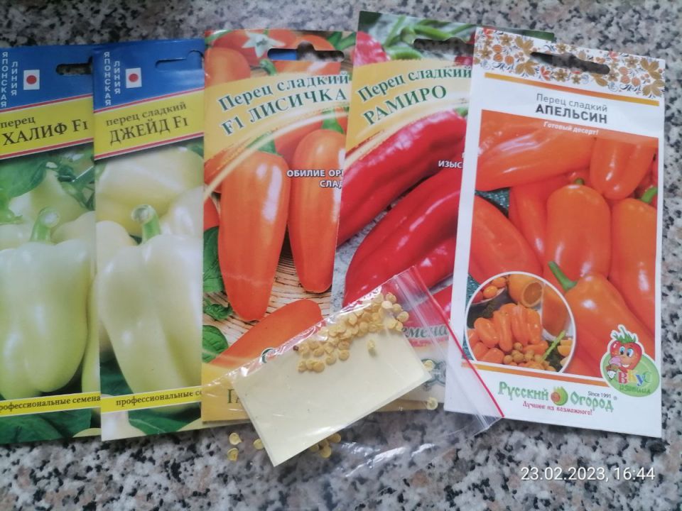 Как правильно хранить семена: лучшие методы для дачников