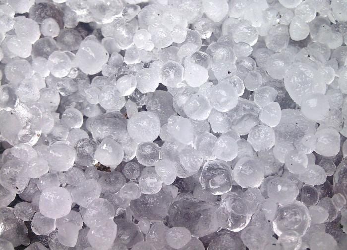 Как восстановить огород после града: советы по уходу за поврежденными растениями