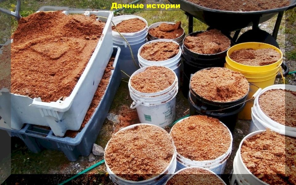 Эффективная мульча: как использовать опилки для здорового роста растений