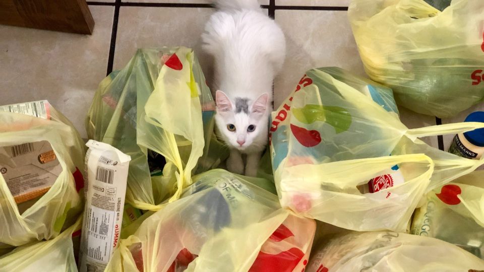 Пакет-майку в магазине откроете за пару секунд: пальцы облизывать не придется