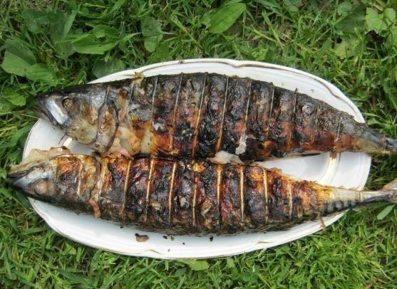 Секреты шашлыка из скумбрии