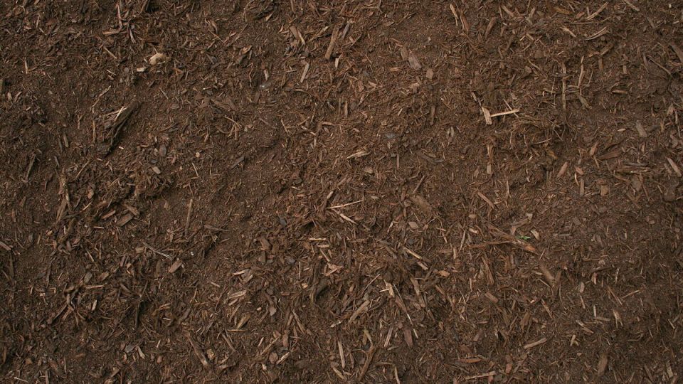 Дерновая земля: секреты успешного садоводства