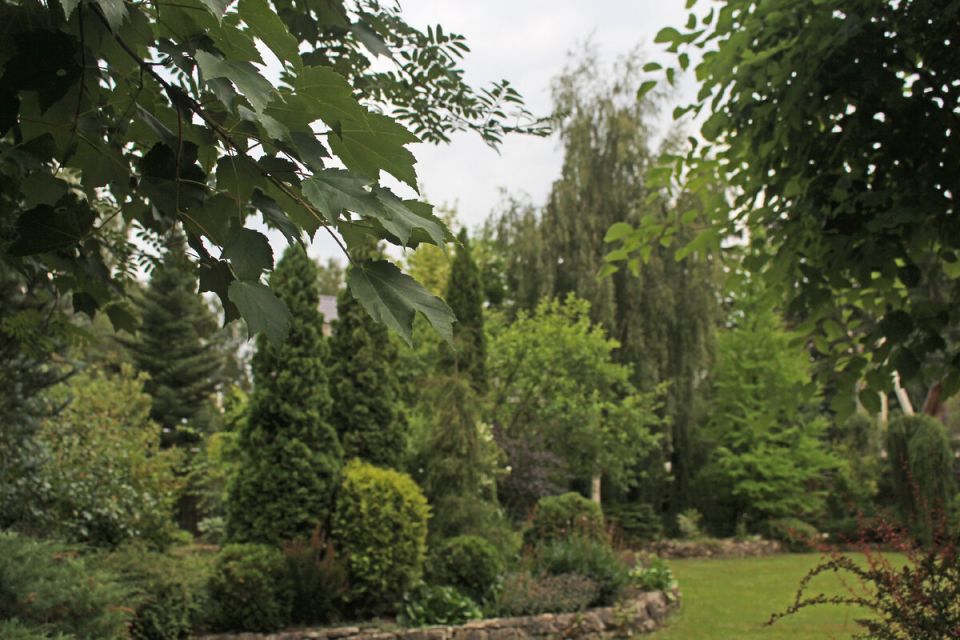 ��� ��������� ���� ������ � ���������� ����