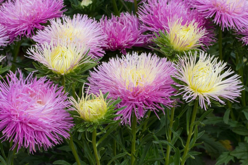 ����� ��� � �������: ��� ������ ��������� ������� �������� ���� ����������� � ������?