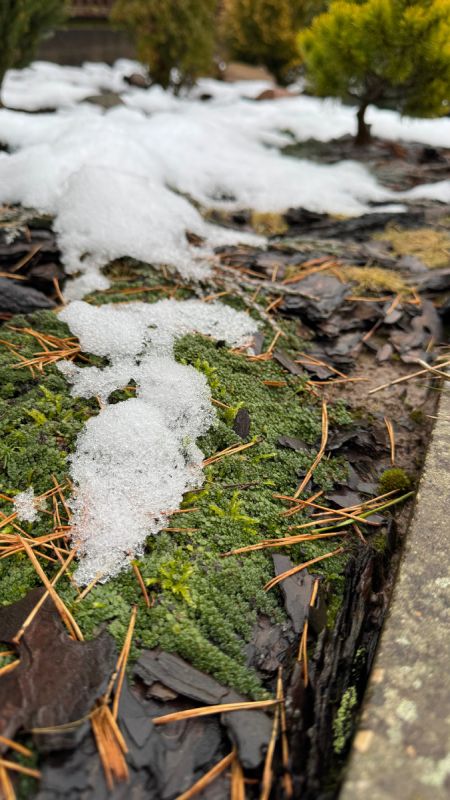 �������������� ��������, ������� �������� ������� ������ ���� �����