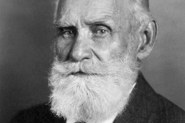 �������� ����� �������: ������� ������� ������� ��� ������������ ��������