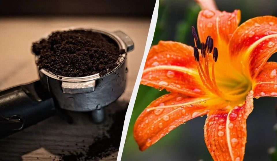 ��� �������� ���� ������������ � ������ ��������� ��� ����� ��������