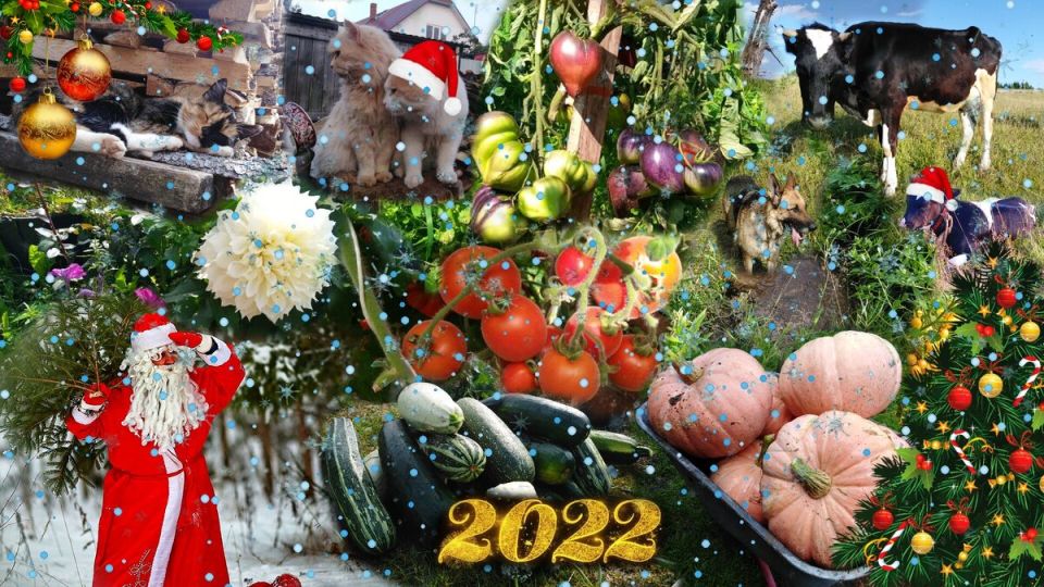 ����� ����: ��� ��������� �������� ����� ���������� ����������� � ����� ������