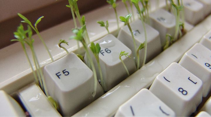 Эффективные способы очистки клавиатуры: сохраните вашу технику в идеальном состоянии