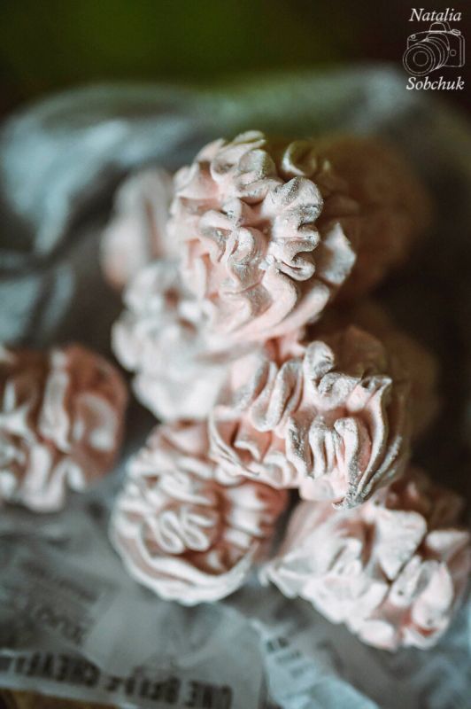 Сливовый зефир: наслаждение в каждой порции