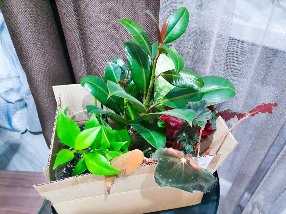 ����� �������� ��� ���������: ��������, ������� ���������� ��������� ������