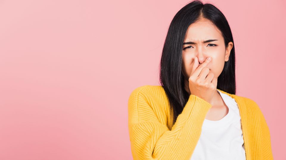 ������ ����� ���� � ������� �������� ����: ��� ��� ����� ��������� �����������