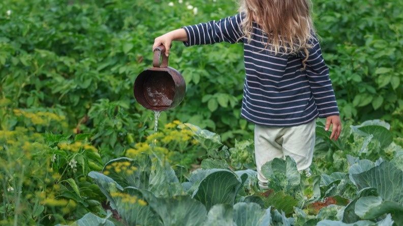 ��� ��������� �������� ������ ������� ���� ��� ������� � ����