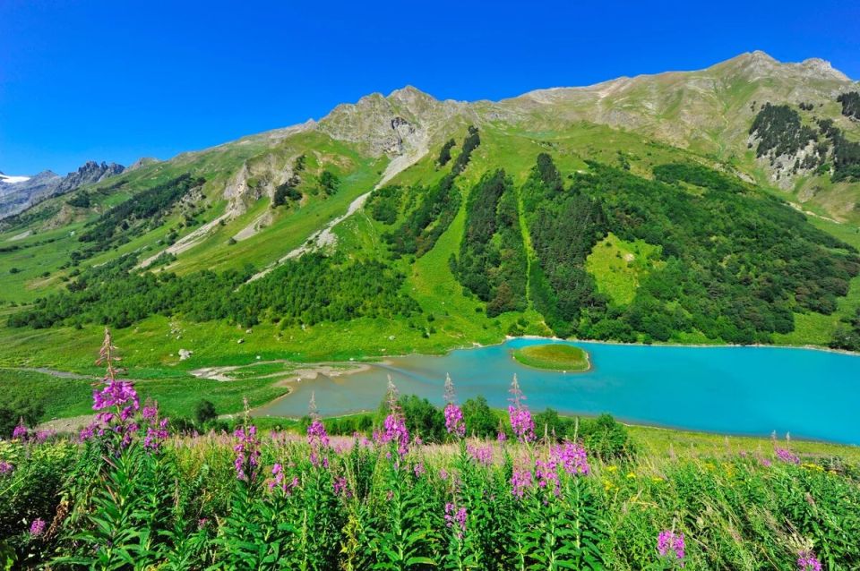 Кавказский заповедник: в 2025 году зафиксировано 360 нарушений природоохранного законодательства