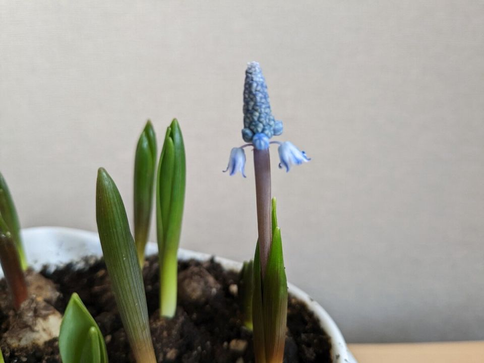 ������� �� �������: ��� ������� �������� ������� ������� �������