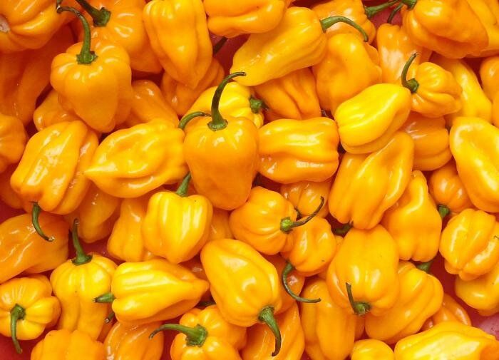 ��������� ������ ����� � ��������� ����� ������ �����