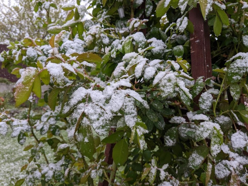 �������� ���: ��� ���������� � ����������� �������� � ��������� ��������