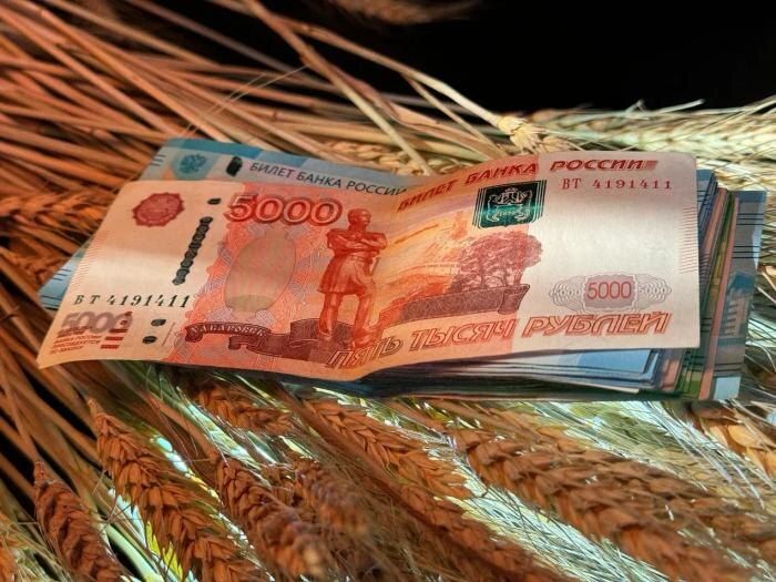 Финансовые цели россиян: что планируют на 2026 год?