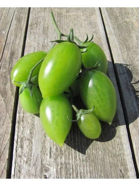 ����� �������� ����������: ������������ ���� � ����, ������� ������� ��������