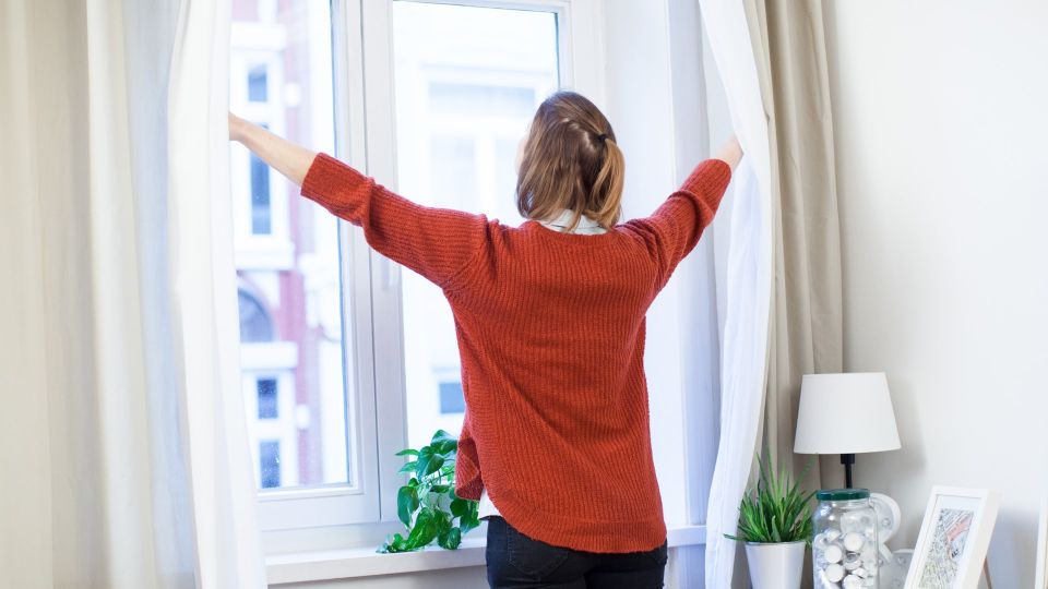 ����������� ���� �� ����� ������ ����� �����: ������ �������� ��� ���� � ��� ����